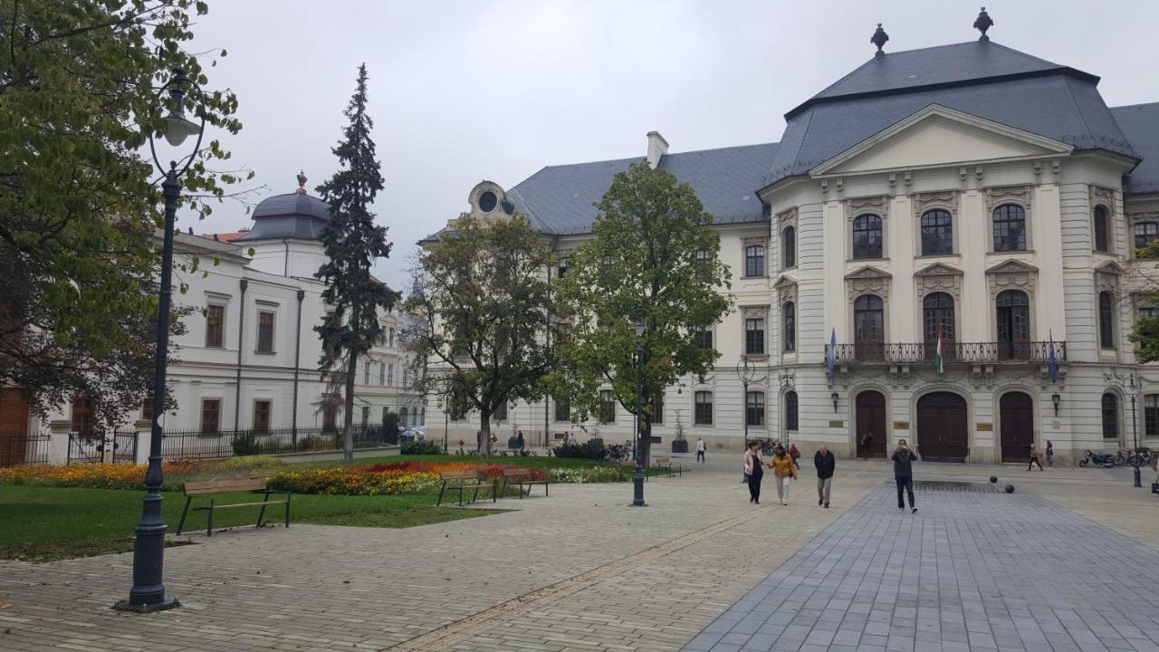 Eger Napsugar Lägenhet Exteriör bild